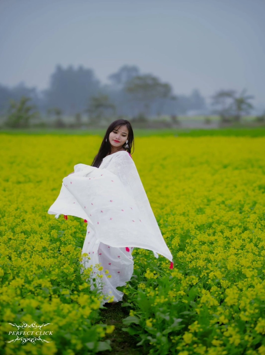 Women's Afsan Print Half Silk White Saree