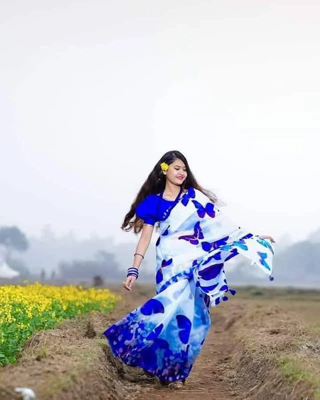 Digital Print Festivals Saree-904