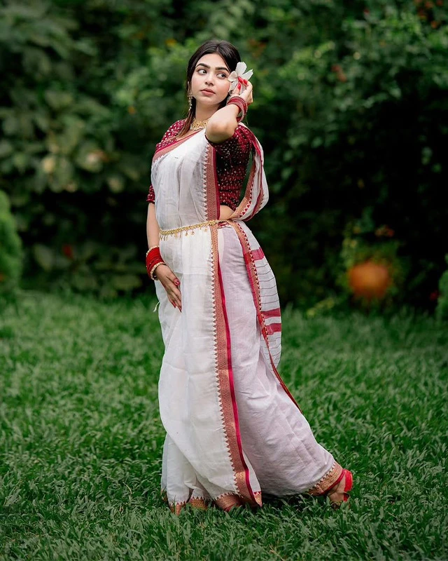 Heritage Canvas Nakshi Border Half-Silk Saree