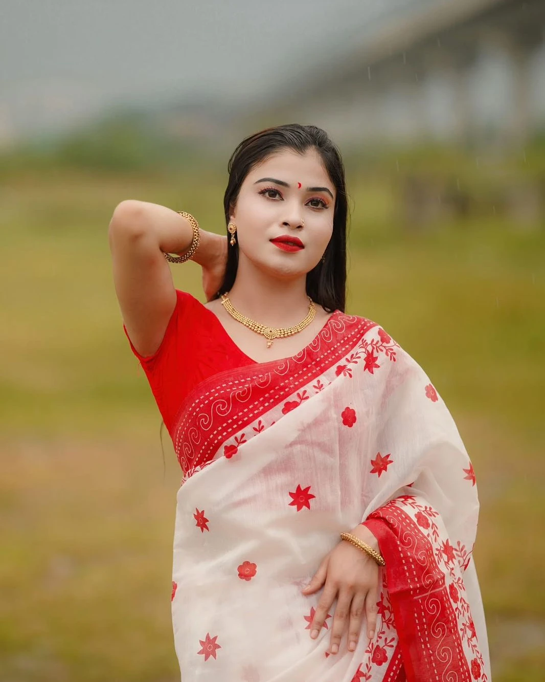 Golden Dust Afsan Printed Half-Silk Saree