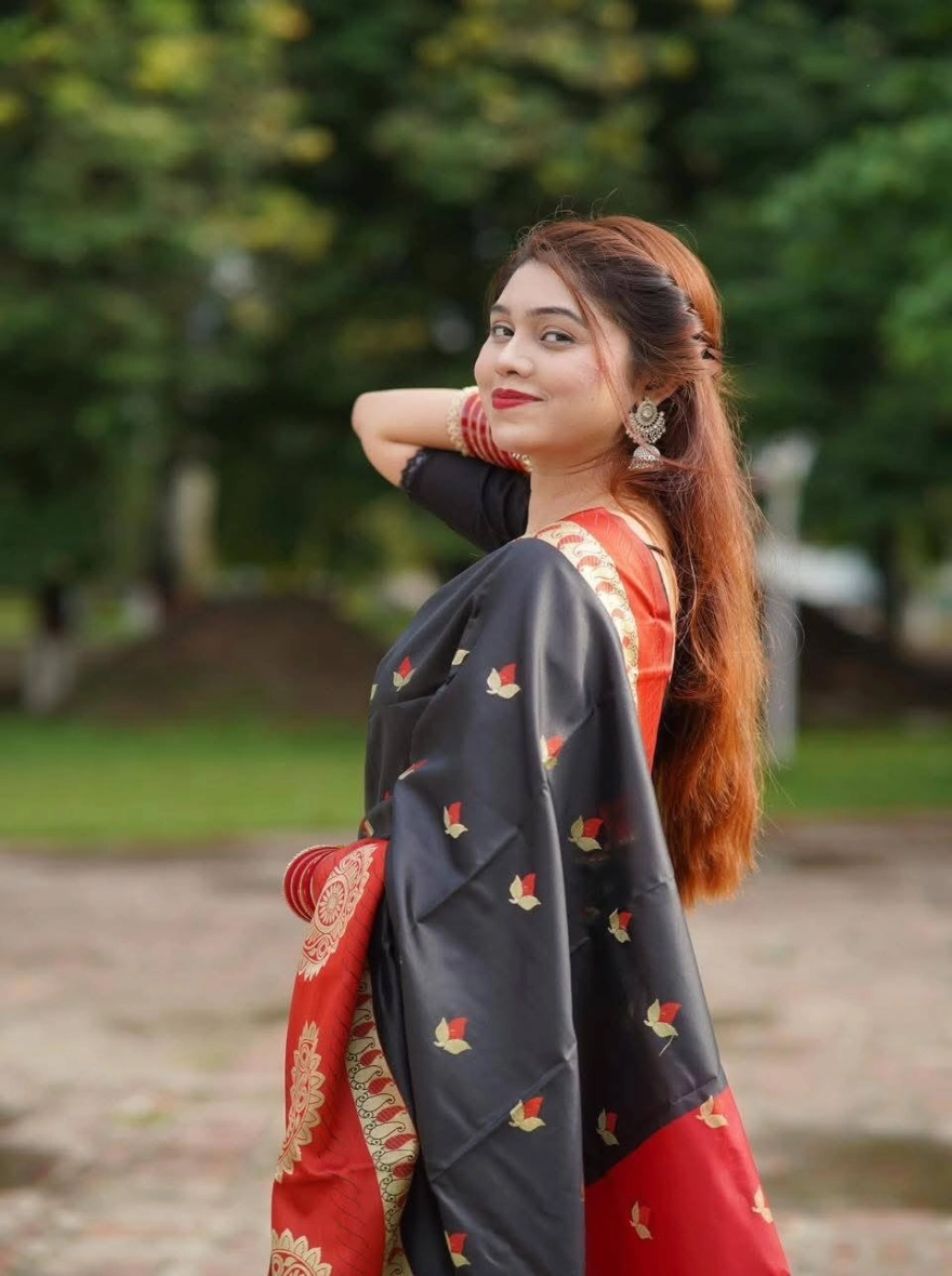 Traditional Indian Silk Saree