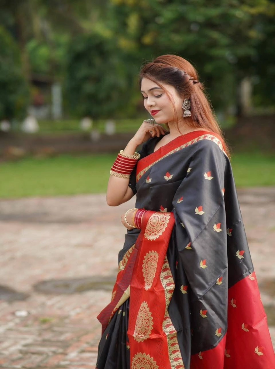 Traditional Indian Silk Saree