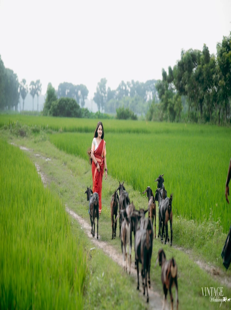 Women's Premium Quality Nakshi Pair Saree – Rich Maroon & Gold Traditional Edition