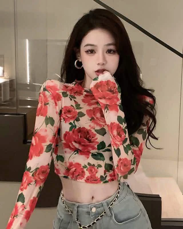 Rosalie Floral Sheer Mesh Long Sleeve Crop Top