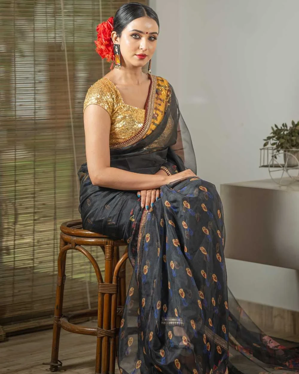 Palki Saree