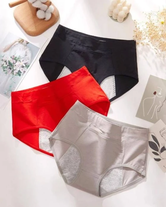 Leak Proof Menstrual Period Underwear with Warming Pocket (Free Size)