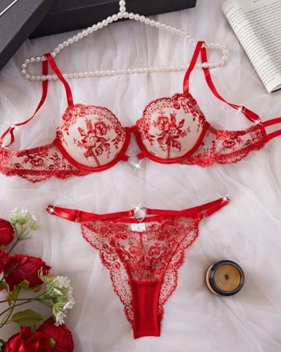 Transparent Embroidey Bra Panty Set
