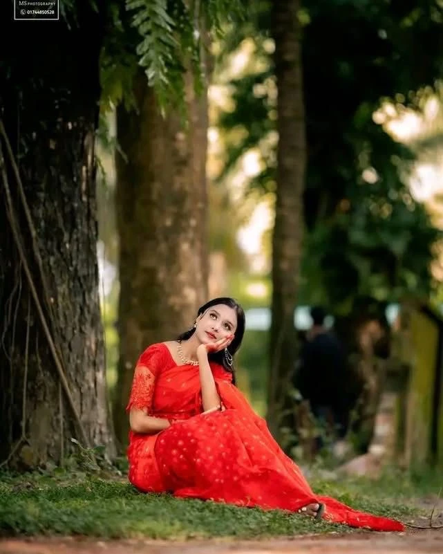 Traditional Nakful Jamdani Saree